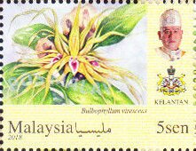 Orchids of Malaysia