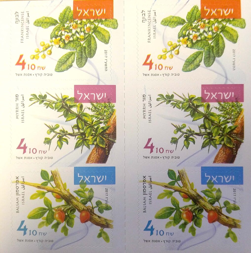 Aromatic Plants