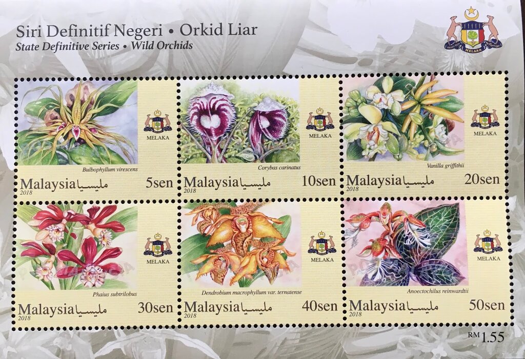 Orchids of Malaysia
