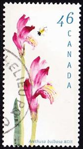 Stamp, Arethusa bulbosa, Canada,  , Conferences, Flowers, Orchids, Plants (Flora)
