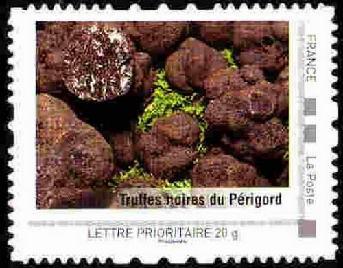 Truffes noires du Perigord