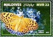 Argynnis children