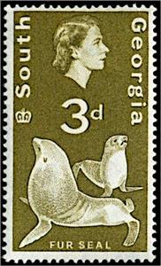 Stamp, Fur Seal, Falkland Islands, Dependencies,  , Animals (Fauna), Heads of State, Mammals, Queens, Sea (Marine) Mammals, Sea Life, Seals (Animals)