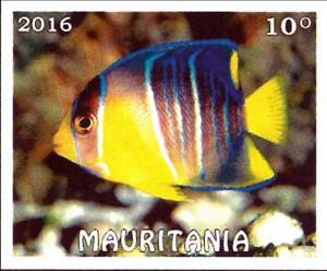 Stamp, Tropical fish, Cinderellas,  , Animals (Fauna), Fishes