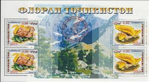 Souvenir Sheet, Mushroms, Tajikistan,  , Mushrooms