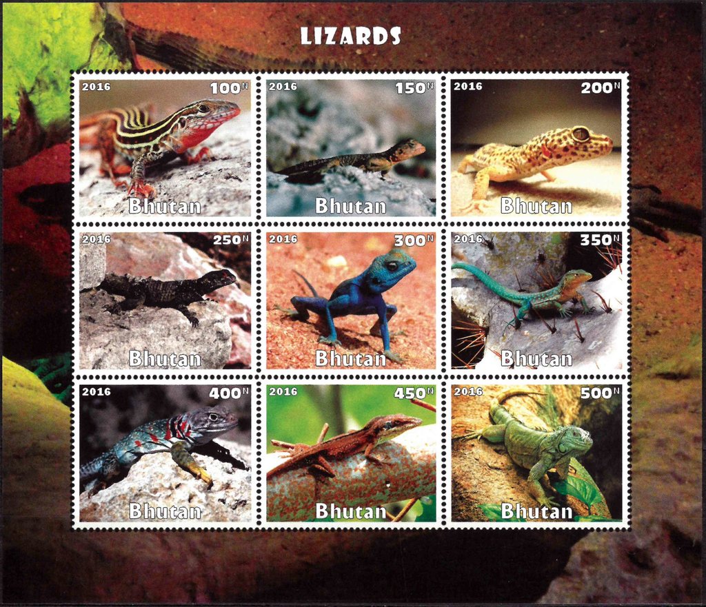 Lizards