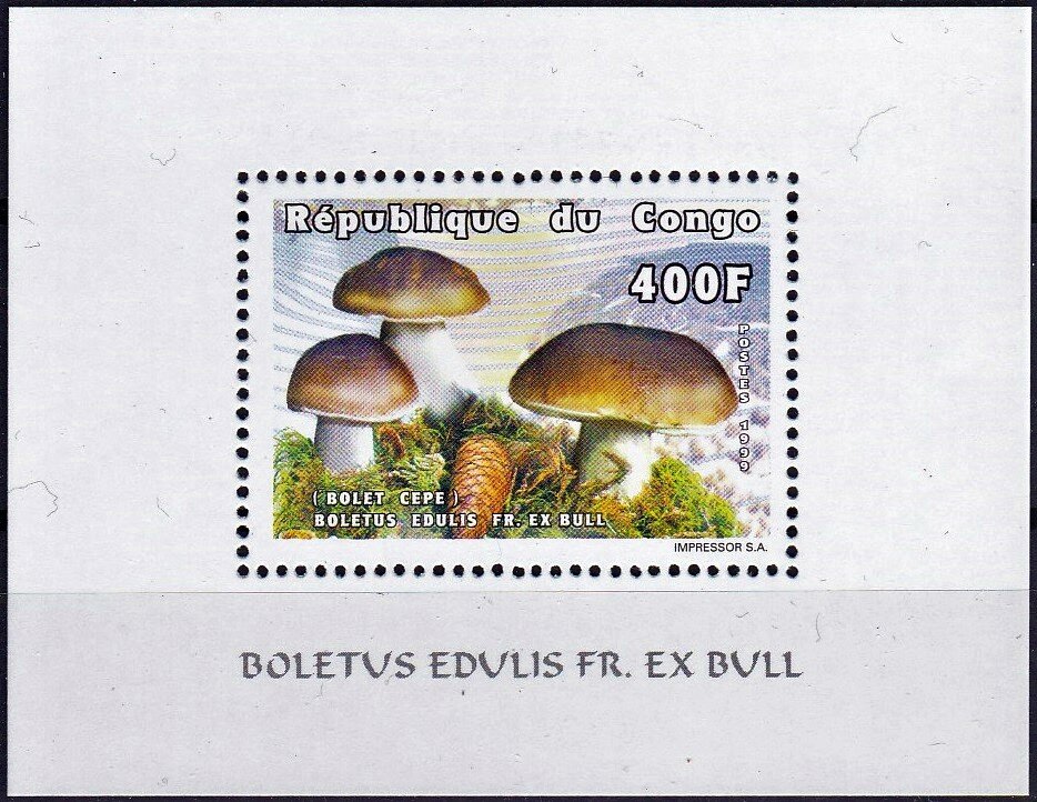 Boletus edulis