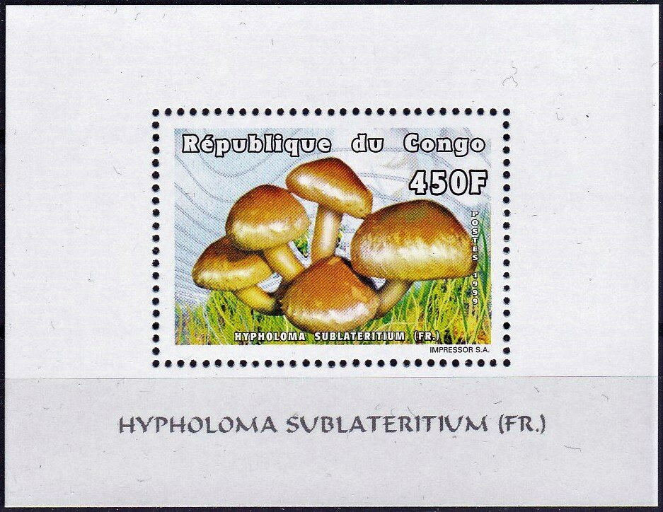 Hypholoma sublateritium