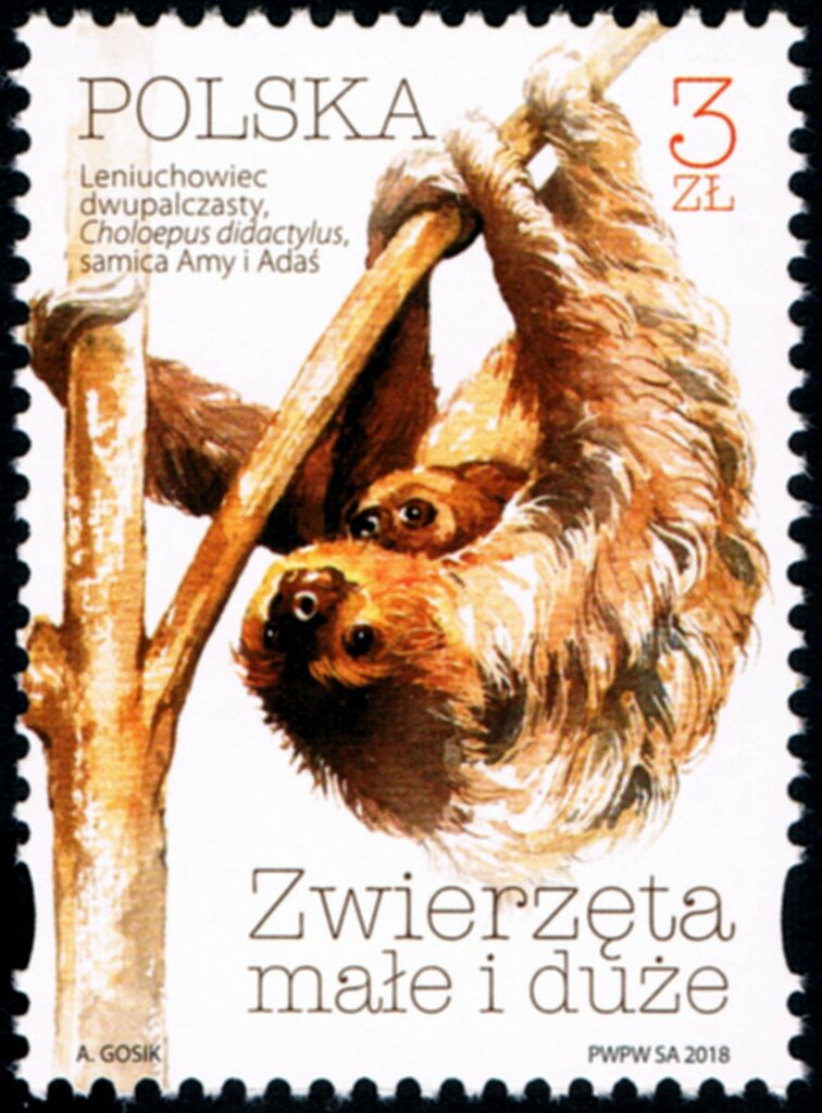 Sloth