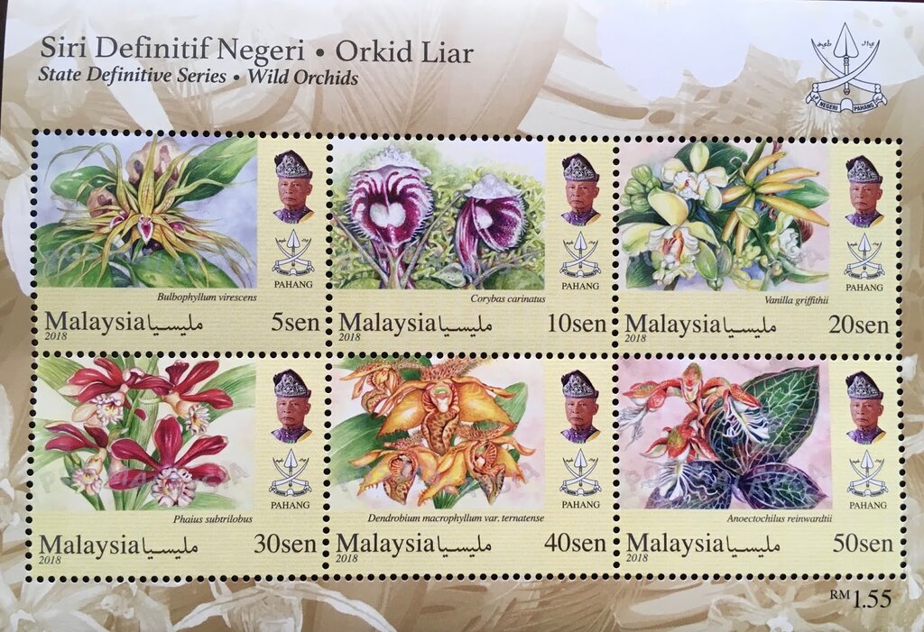Orchids of Malaysia