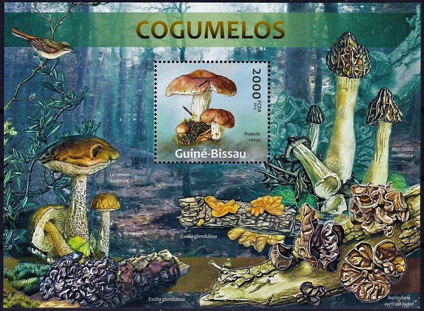 Russula vesca