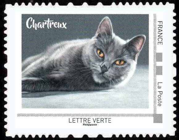 Chartreux