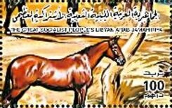 Horses