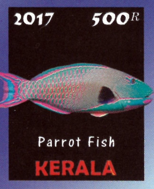 Parrot Fish