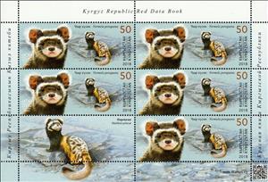 Mini Sheet, Marbled polecat (Vormela peregusna), Kyrgyzstan,  , Animals (Fauna), Mammals