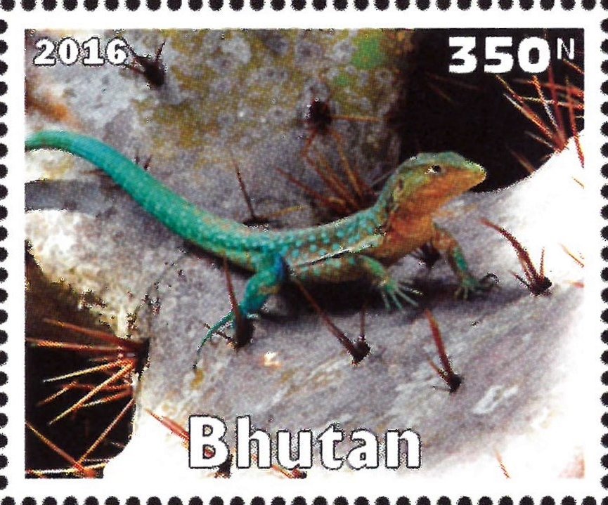 Lizard