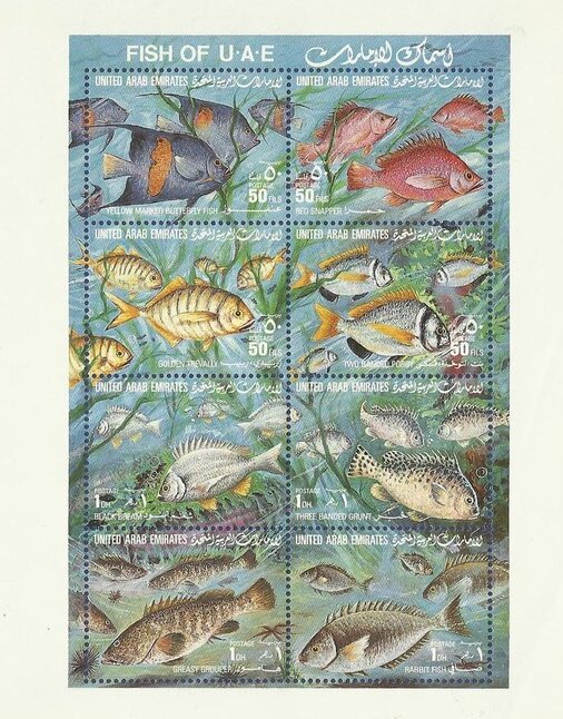 Fishes of UAE