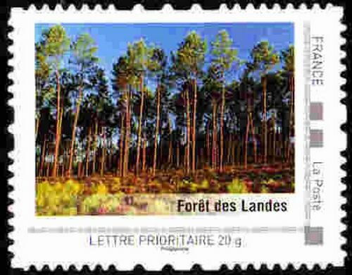 Foret des Landes