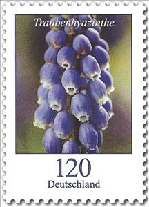 Stamp, Grape Hyacinth, Germany, Federal Republic,  , Flowers, Plants (Flora)