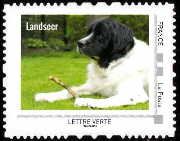 Landseer