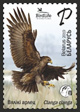 Greater Spotted Eagle