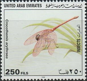 Stamp, Crocothemis arythraea., United Arab Emirates,  , Animals (Fauna), Dragonflies, Insects