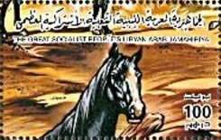 Horses