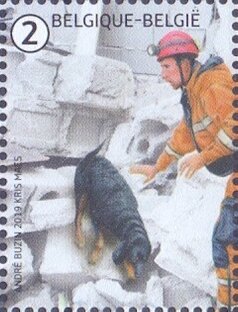Search & Rescue Dog