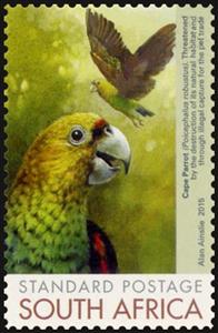 Stamp, Cape Parrot (Poicephalus robustus), South Africa,  , Animals (Fauna), Birds, Parrots