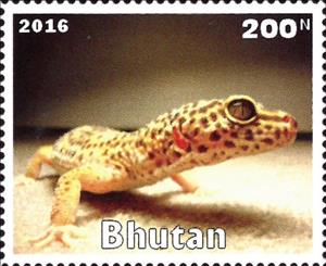 Stamp, Lizard, Cinderellas,  , Animals (Fauna), Lizards