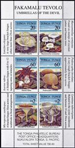 Mini Sheet, Various Mushrooms, Tonga,  , Mushrooms