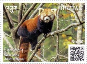 Souvenir Sheet, Red Panda, Bhutan,  , Animals (Fauna), Bears, Mammals