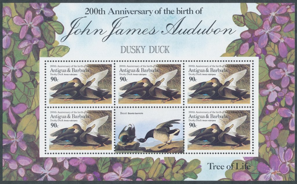 American Black Duck (Anas rubripes) mini sheet