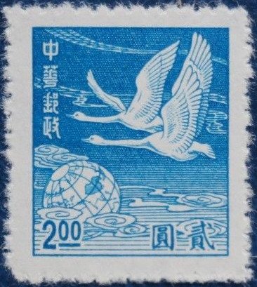 Swan Geese  (Anser cygnoides)