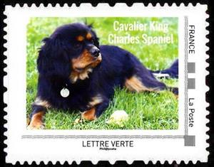 Stamp, Cavalier King Charles Spaniel, France,  , Animals (Fauna), Dogs, Mammals