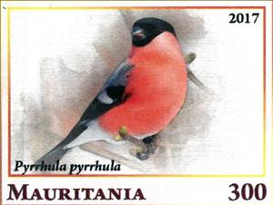 Stamp, Pytthula pyrrhula, Cinderellas,  , Animals (Fauna), Birds