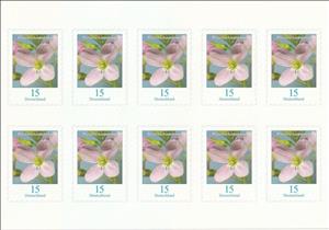 Mini Sheet, Milkmaids (Cardamine pratensis), Germany, Federal Republic,  , Flowers, Plants (Flora)