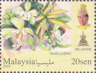 Orchids of Malaysia