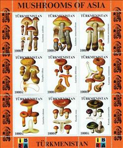 Mini Sheet, Boletus and Russsulaceae, Cinderellas,  , Mushrooms