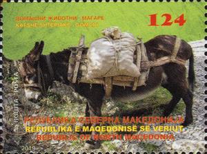 Stamp, Donkeys, Macedonia,  , Animals (Fauna), Donkeys, Mammals