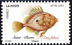 John Dory