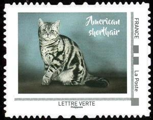 Stamp, American shorthair, France,  , Animals (Fauna), Cats, Mammals