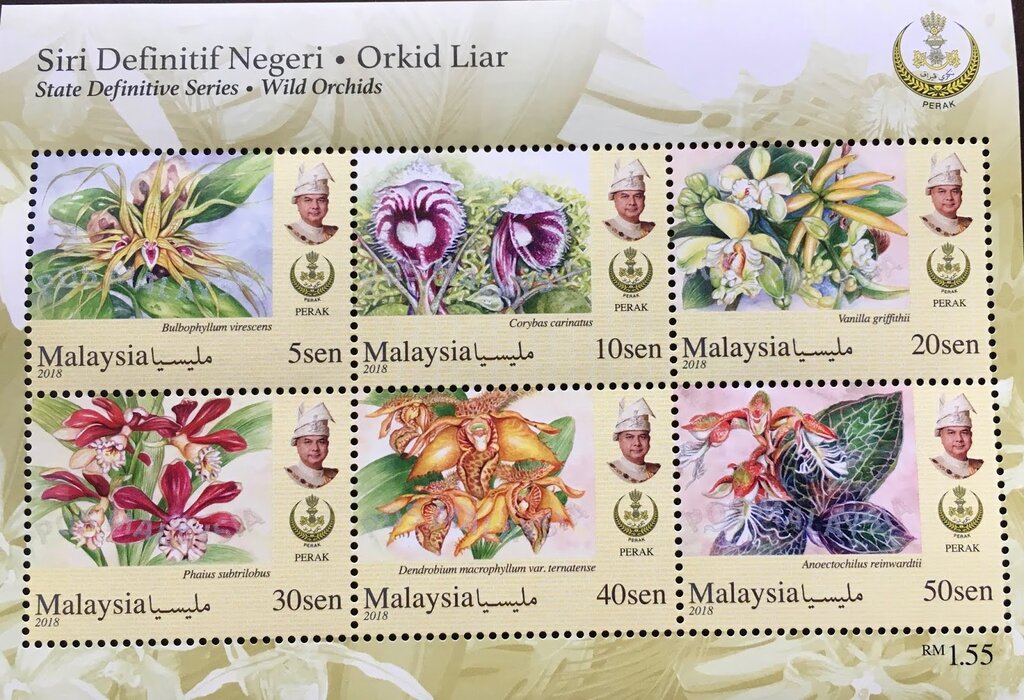 Orchids of Malaysia