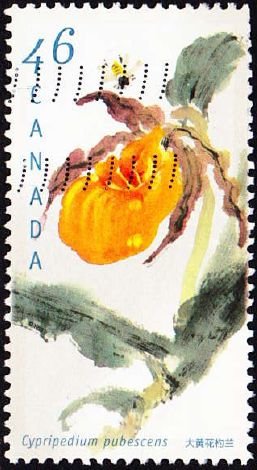 Stamp, Cypripedium parviflorum var.pubescens, Canada,  , Conferences, Flowers, Orchids, Plants (Flora)