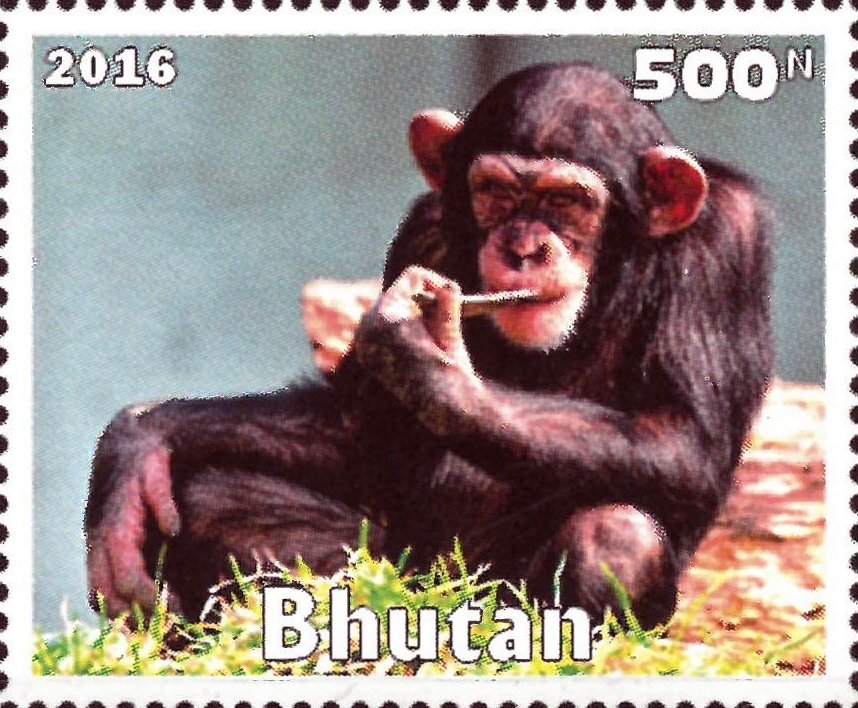 Primates