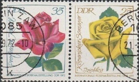 Roses