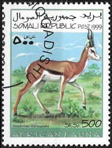 Stamp, Antidorcas marsupialis, Cinderellas,  , Animals (Fauna), Antelopes, Mammals