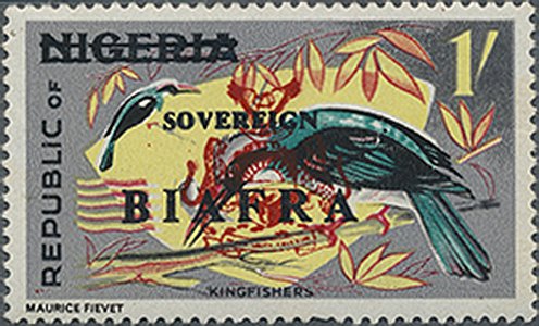Kingfisher (Alcedo atthis)