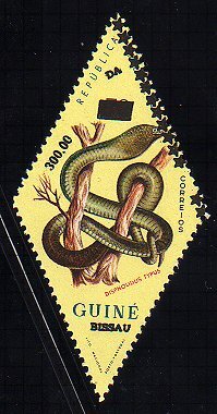 Stamp, Dispholidus Typus, Guinea-Bissau,  , Snakes