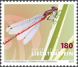 Stamp, Large Red Damselfly (Pyrrhosoma nymphula), Liechtenstein,  , Animals (Fauna), Dragonflies, Insects